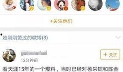 娱乐圈消息最新爆料,明星恋情曝光，豪门恩怨再起波澜